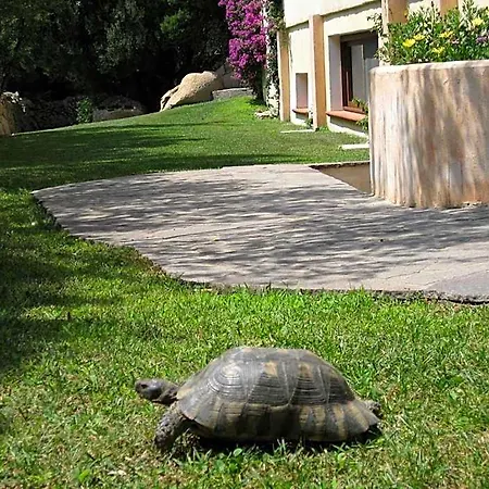 Monti Di Mola Porto Cervo