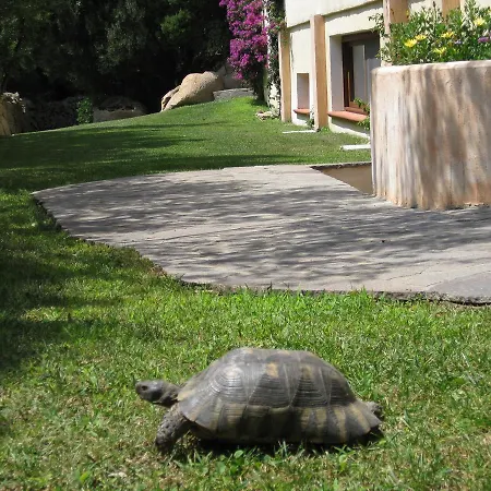 Monti Di Mola فندق